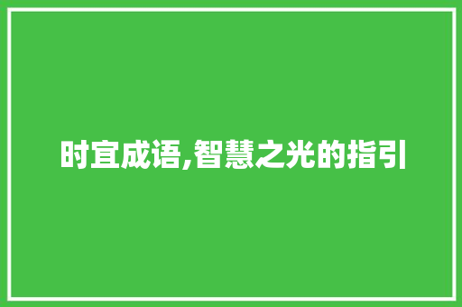 时宜成语,智慧之光的指引