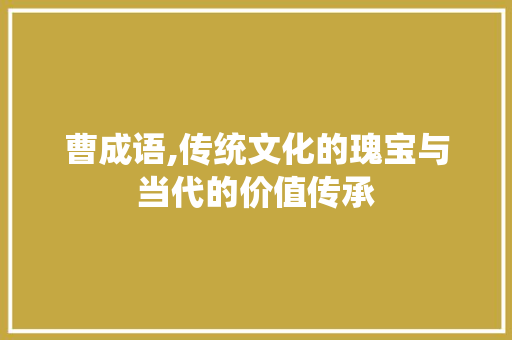 曹成语,传统文化的瑰宝与当代的价值传承