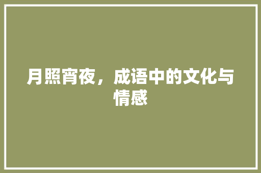 月照宵夜，成语中的文化与情感