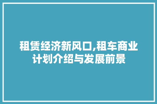 租赁经济新风口,租车商业计划介绍与发展前景