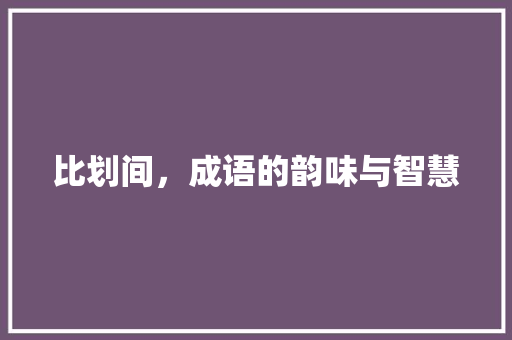 比划间，成语的韵味与智慧