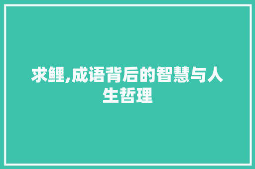 求鲤,成语背后的智慧与人生哲理