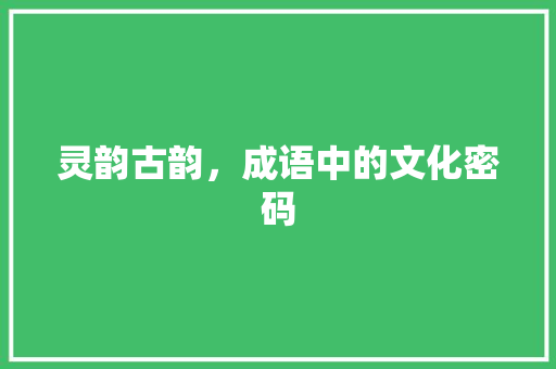 灵韵古韵，成语中的文化密码