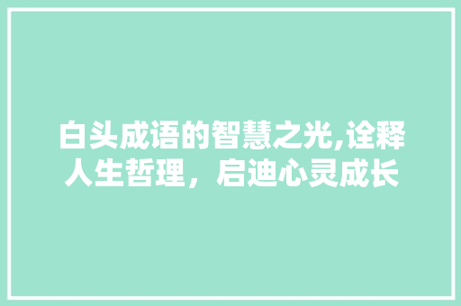 白头成语的智慧之光,诠释人生哲理，启迪心灵成长