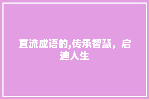 直流成语的,传承智慧，启迪人生