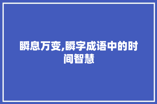 瞬息万变,瞬字成语中的时间智慧