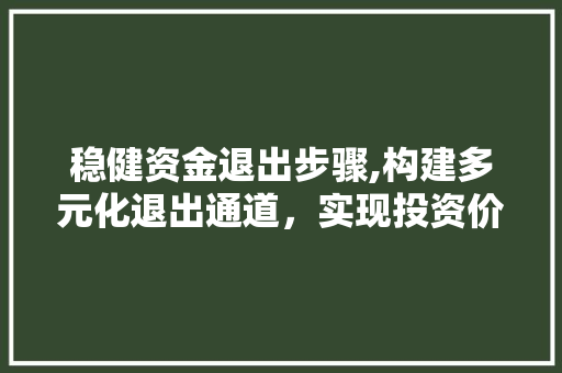 稳健资金退出步骤,构建多元化退出通道，实现投资价值最大化