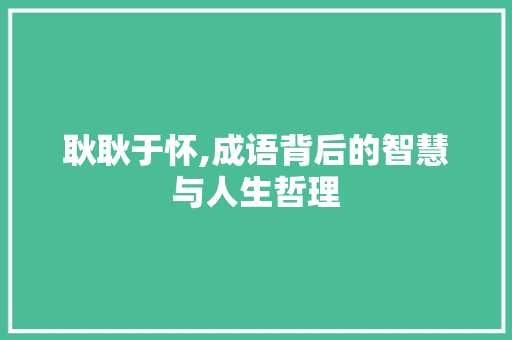 耿耿于怀,成语背后的智慧与人生哲理