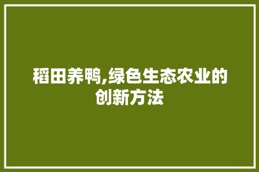 稻田养鸭,绿色生态农业的创新方法