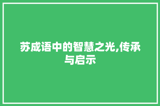 苏成语中的智慧之光,传承与启示