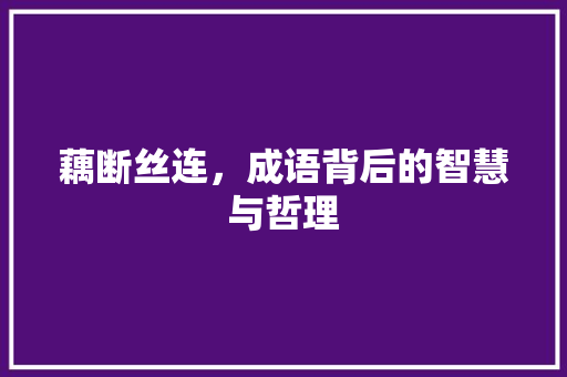 藕断丝连，成语背后的智慧与哲理