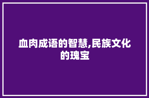 血肉成语的智慧,民族文化的瑰宝
