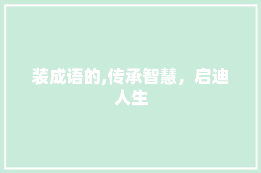 装成语的,传承智慧，启迪人生