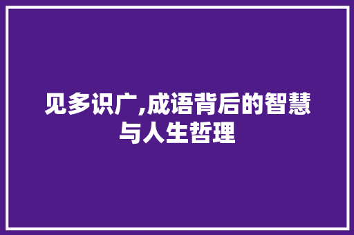 见多识广,成语背后的智慧与人生哲理