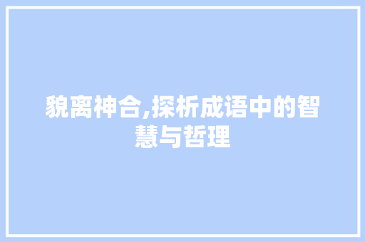貌离神合,探析成语中的智慧与哲理