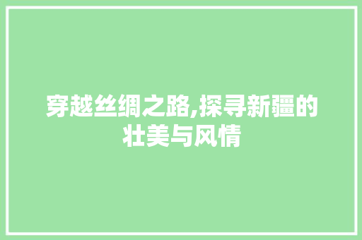 穿越丝绸之路,探寻新疆的壮美与风情
