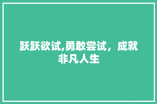 跃跃欲试,勇敢尝试，成就非凡人生