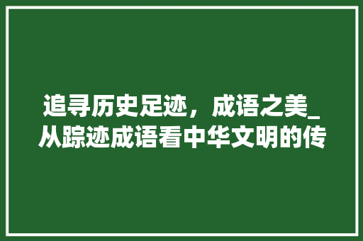 追寻历史足迹，成语之美_从踪迹成语看中华文明的传承与发展