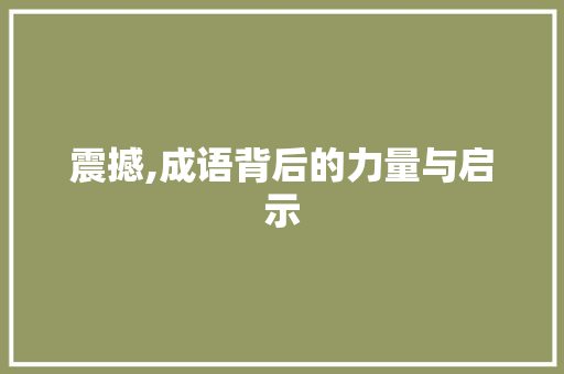 震撼,成语背后的力量与启示