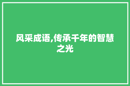 风采成语,传承千年的智慧之光