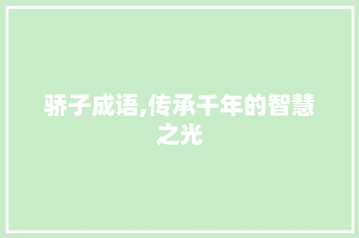 骄子成语,传承千年的智慧之光