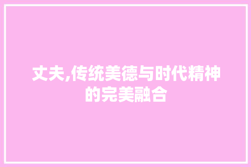 丈夫,传统美德与时代精神的完美融合