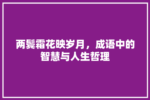 两鬓霜花映岁月，成语中的智慧与人生哲理