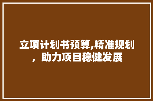 立项计划书预算,精准规划，助力项目稳健发展