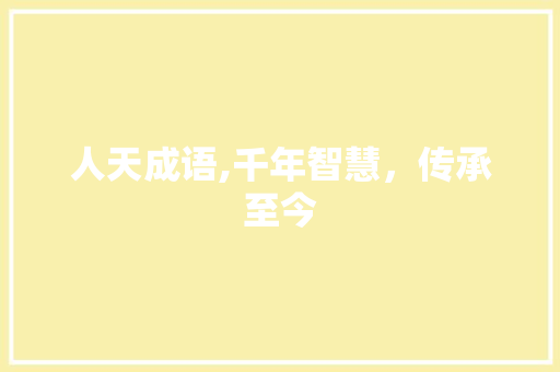 人天成语,千年智慧，传承至今