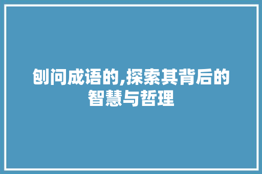 刨问成语的,探索其背后的智慧与哲理