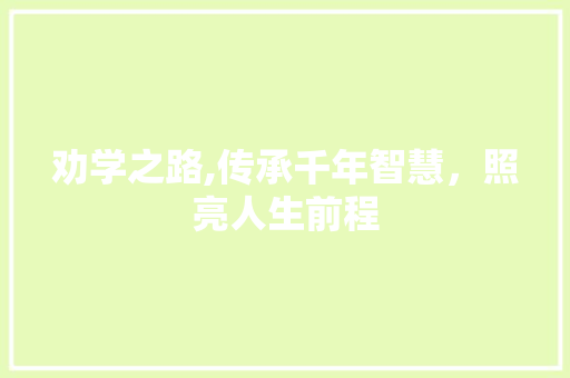 劝学之路,传承千年智慧，照亮人生前程
