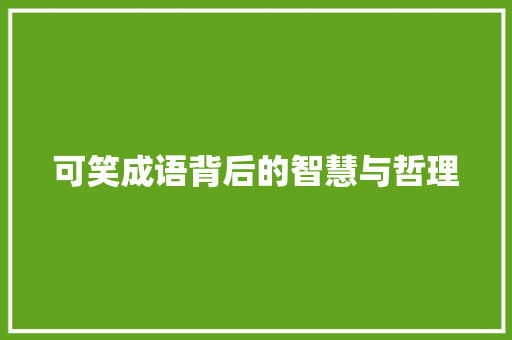 可笑成语背后的智慧与哲理
