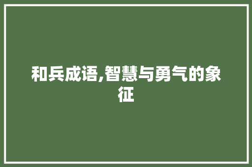 和兵成语,智慧与勇气的象征