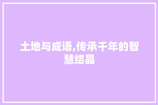 土地与成语,传承千年的智慧结晶