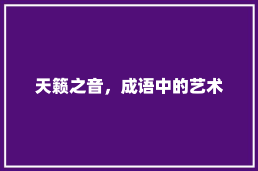 天籁之音，成语中的艺术