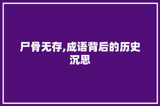 尸骨无存,成语背后的历史沉思