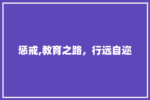 惩戒,教育之路，行远自迩
