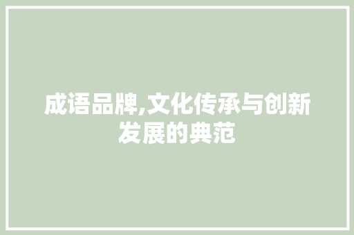 成语品牌,文化传承与创新发展的典范