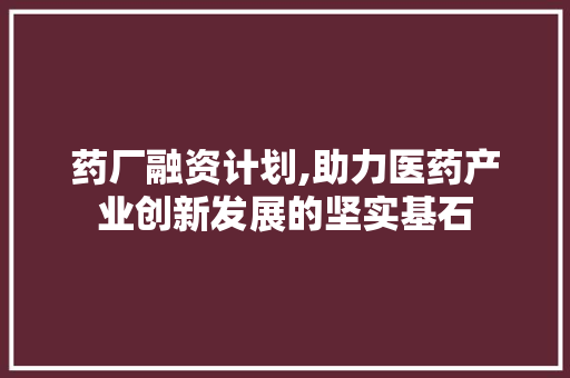 药厂融资计划,助力医药产业创新发展的坚实基石