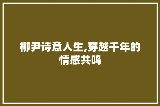 柳尹诗意人生,穿越千年的情感共鸣