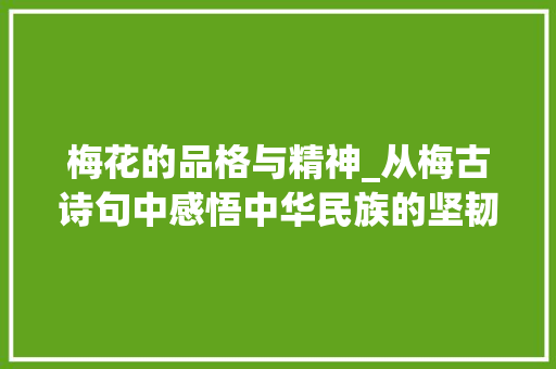梅花的品格与精神_从梅古诗句中感悟中华民族的坚韧与智慧