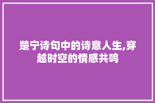 楚宁诗句中的诗意人生,穿越时空的情感共鸣