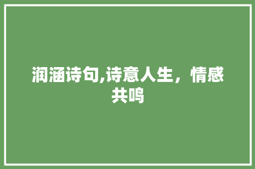 润涵诗句,诗意人生，情感共鸣