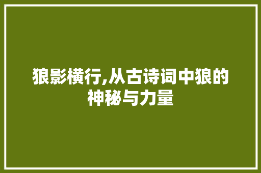 狼影横行,从古诗词中狼的神秘与力量