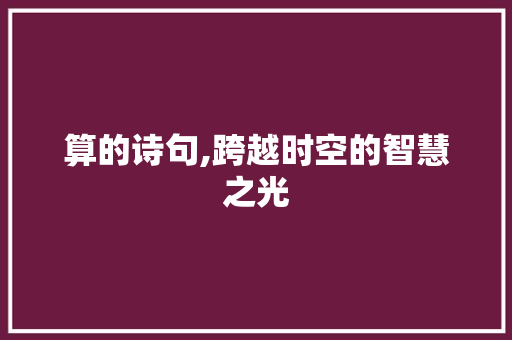 算的诗句,跨越时空的智慧之光