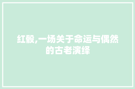 红骰,一场关于命运与偶然的古老演绎