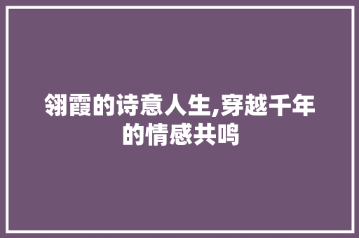 翎霞的诗意人生,穿越千年的情感共鸣