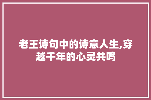 老王诗句中的诗意人生,穿越千年的心灵共鸣