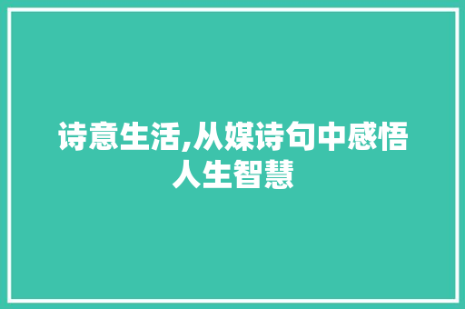 诗意生活,从媒诗句中感悟人生智慧