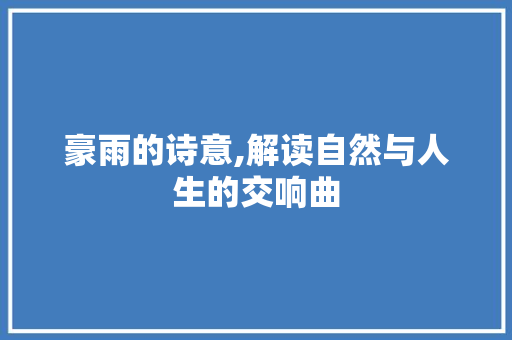 豪雨的诗意,解读自然与人生的交响曲